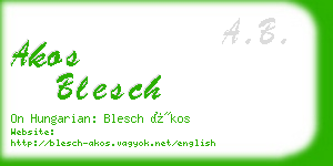 akos blesch business card